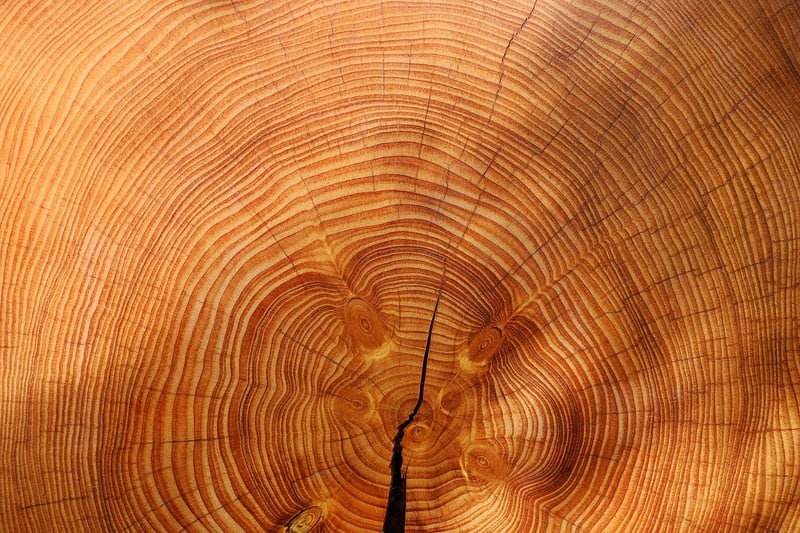 Otherworldly Growth